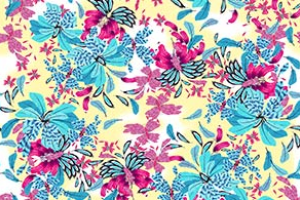 FEATHERS BUTTERFLIES