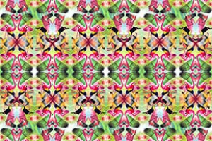 ORGANIZED TROPICAL BIRDS