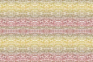 ZEBRA SKIN