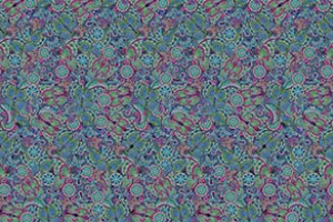 ABORIGINAL BUTTERFLIES