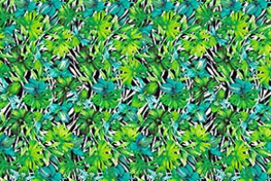 LITTLE TROPICAL SKIN