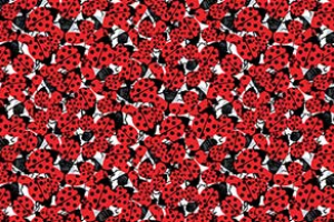 LADYBIRD DOTS