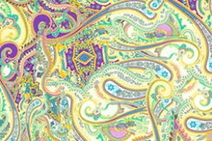 INDIAN PAISLEY