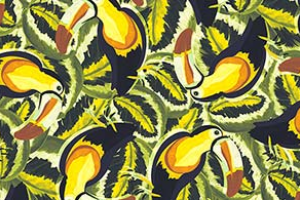TUCAN JUNGLE