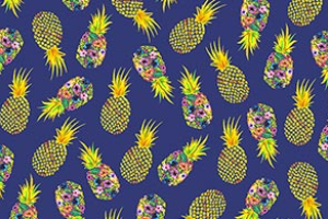 ANANAS PARTY