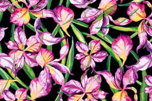 WATERCOLOR FLOWERS PAREO