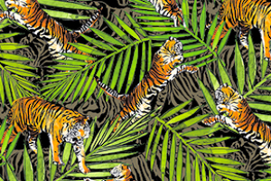 TIGERS